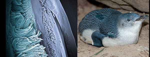 Bí[-]kíp[-]kỳ[-]diệu[-]khiến[-]động[-]vật[-]trở[-]thành[-]"X-men"[-]3